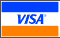 We Accept the Visa Card